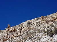 Fosile butte (28).JPG